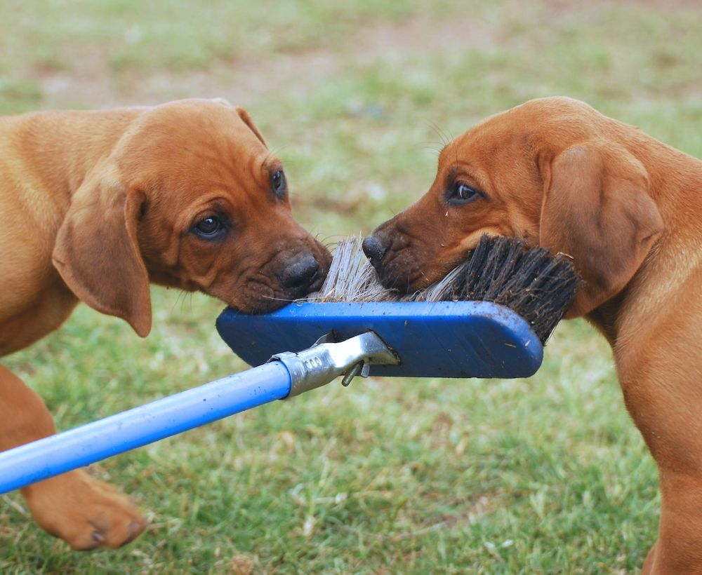 Editorial: April 8, 2022